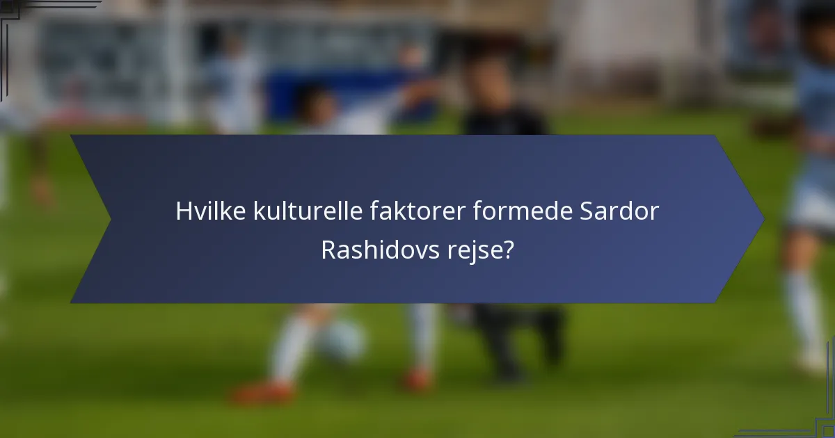 Hvilke kulturelle faktorer formede Sardor Rashidovs rejse?